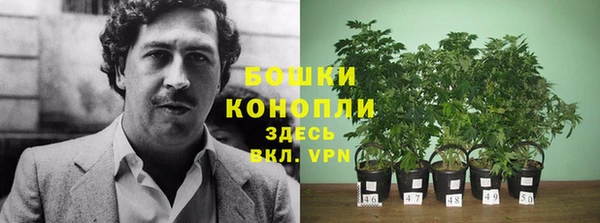 MESCALINE Богданович